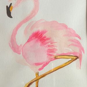 Flamingo2