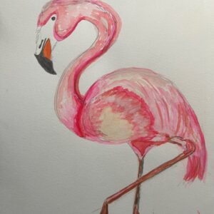 Flamingo3
