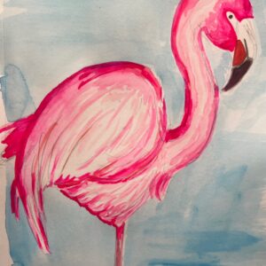 Flamingo1