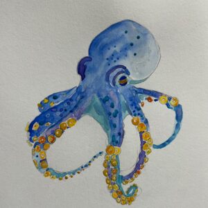 Cephalopod
