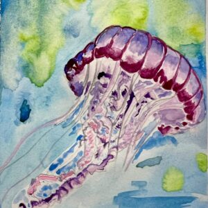 Jelly